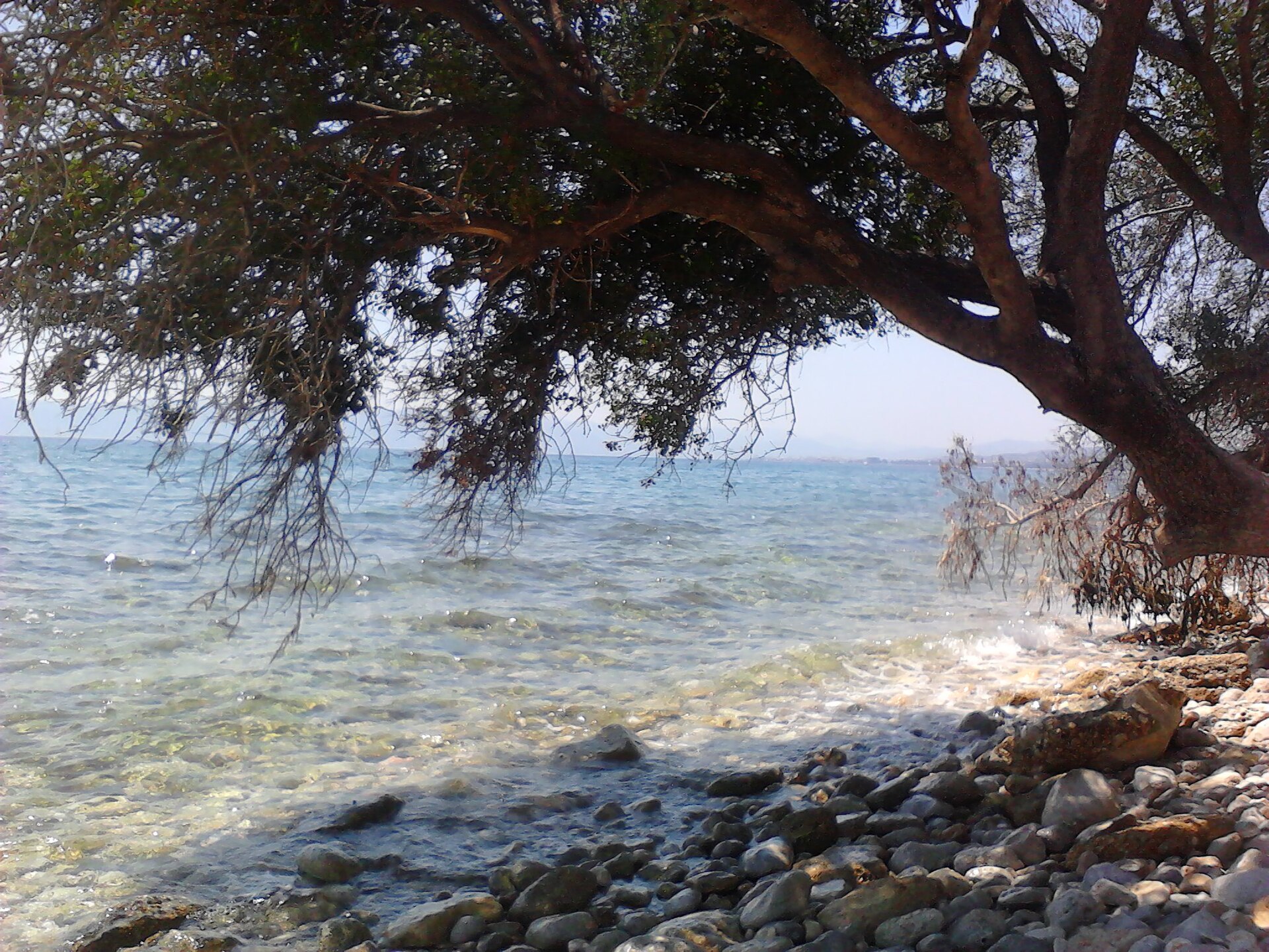 Kineta beach on the Saronic Gulf west of Athens.